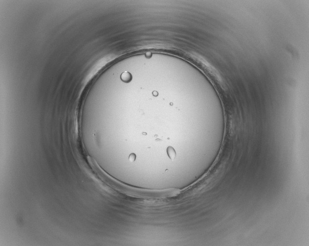 X0000115481274200911271321