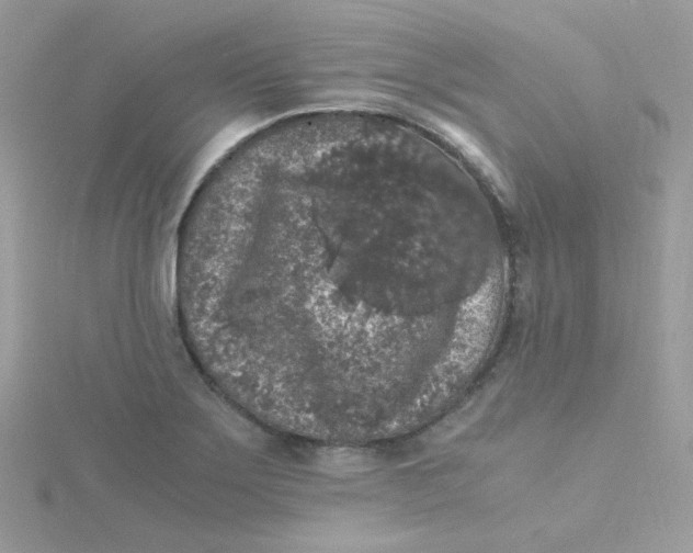 X0000115481275200911271321