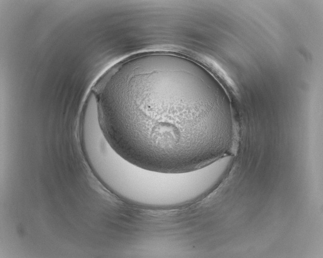 X0000115481276200911271321