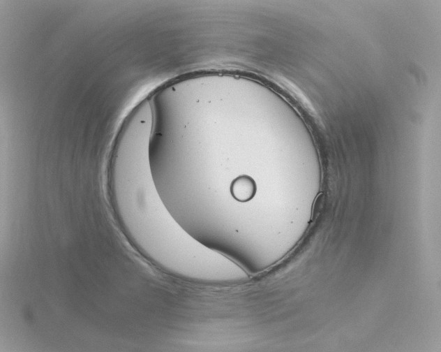 X0000115481277200911271321