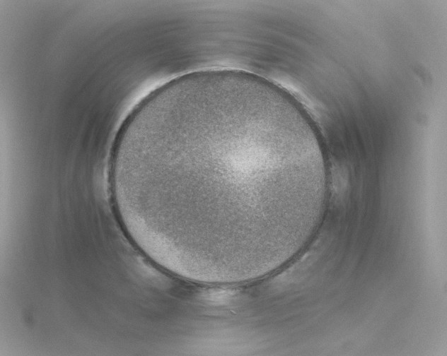 X0000115481278200911271321