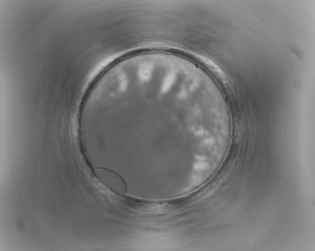 X0000115481279200911271321