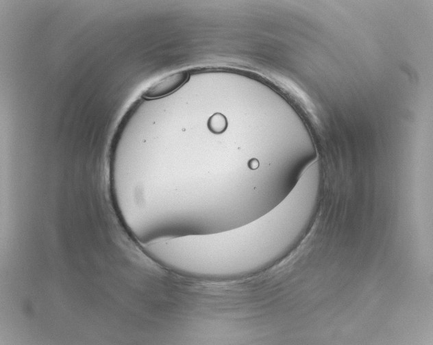 X0000115481280200911271321