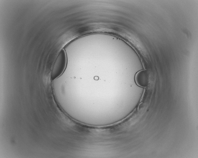 X0000115481281200911271321