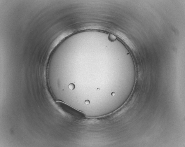 X0000115481282200911271321