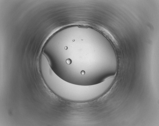 X0000115481284200911271321