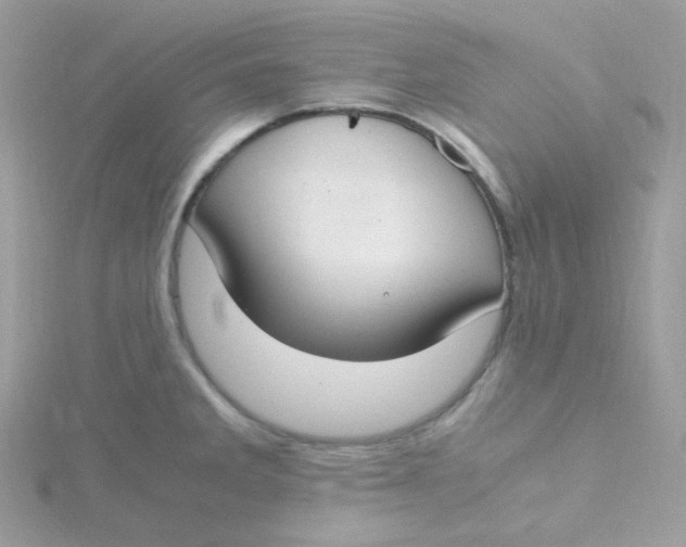 X0000115481285200911271321