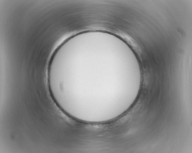 X0000115481286200911271321