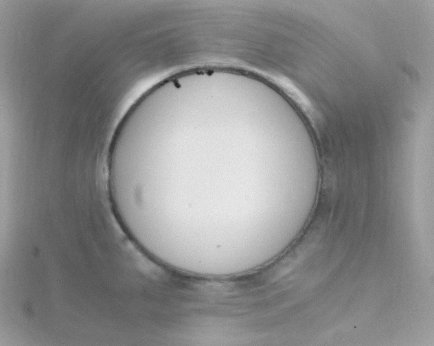 X0000115481287200911271321