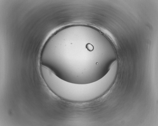 X0000115481288200911271321