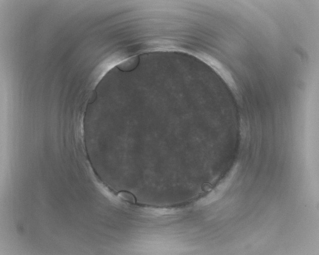 X0000115481289200911271321