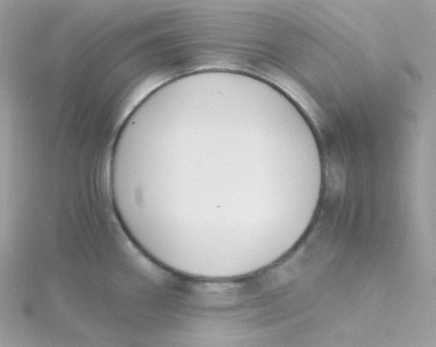 X0000115481290200911271321