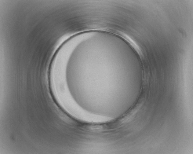 X0000115481291200911271321