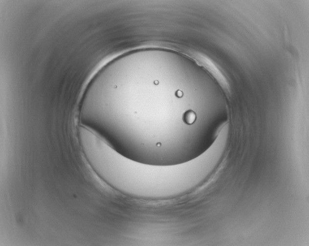 X0000115481292200911271321