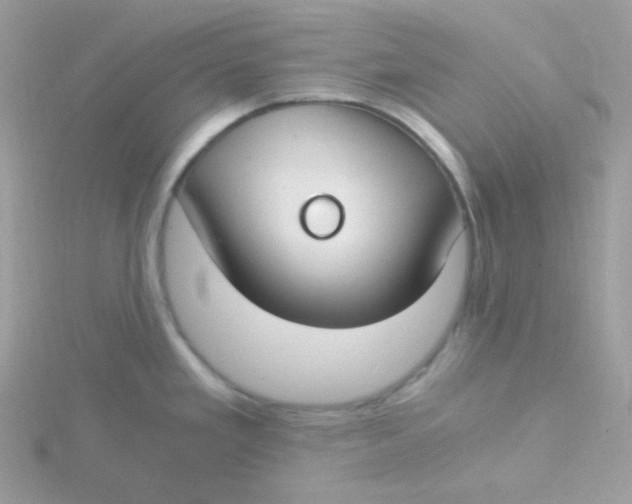 X0000115481293200911271321