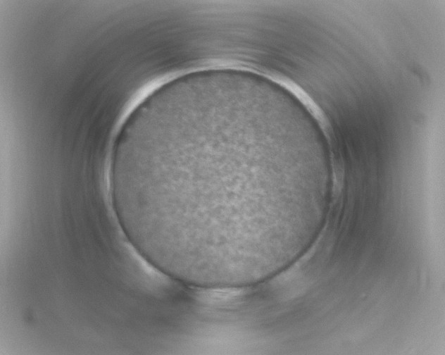 X0000115481294200911271321