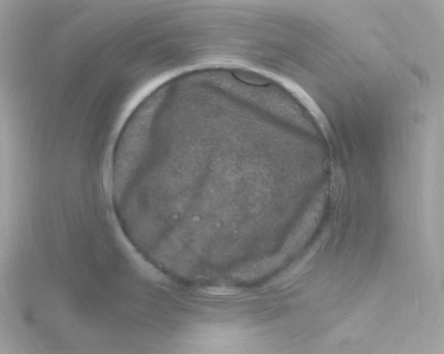 X0000115481295200911271321