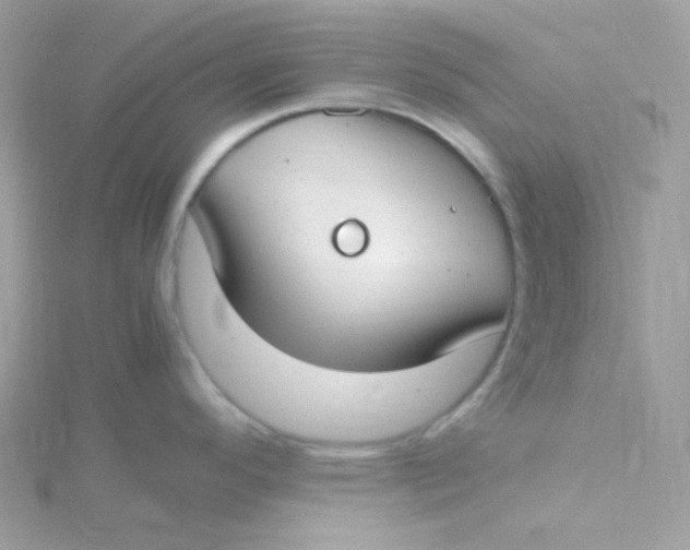 X0000115481296200911271321