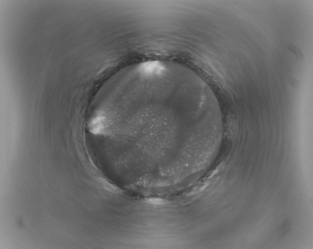 X0000115481297200911271320