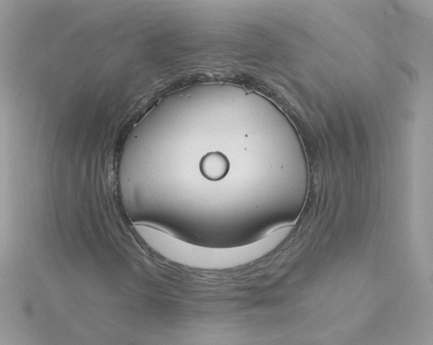 X0000115481298200911271320