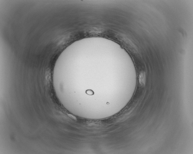 X0000115481299200911271320