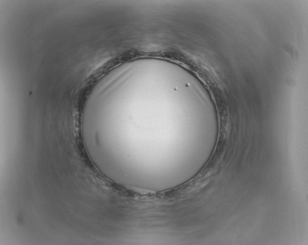 X0000115481301200911271320