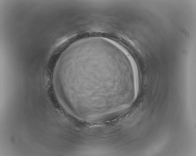 X0000115481303200911271320