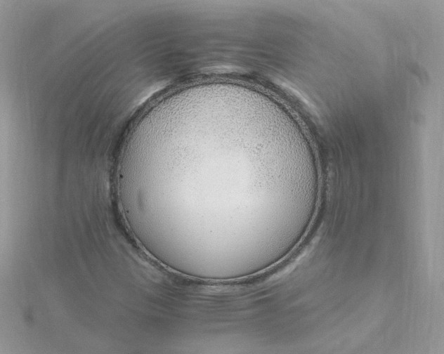 X0000115481305200911271320