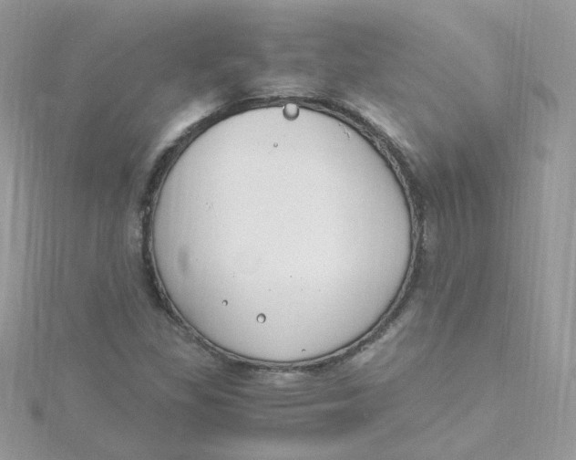 X0000115481309200911271320