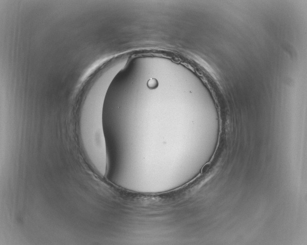 X0000115481310200911271320