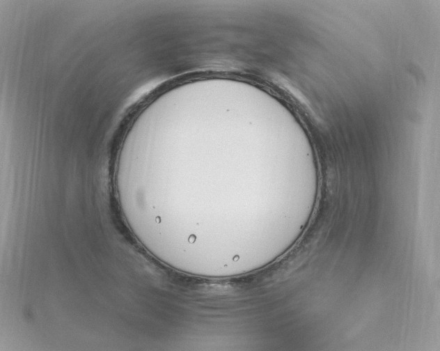 X0000115481315200911271320