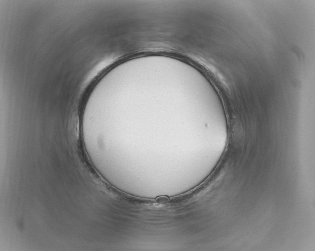 X0000115481317200911271320