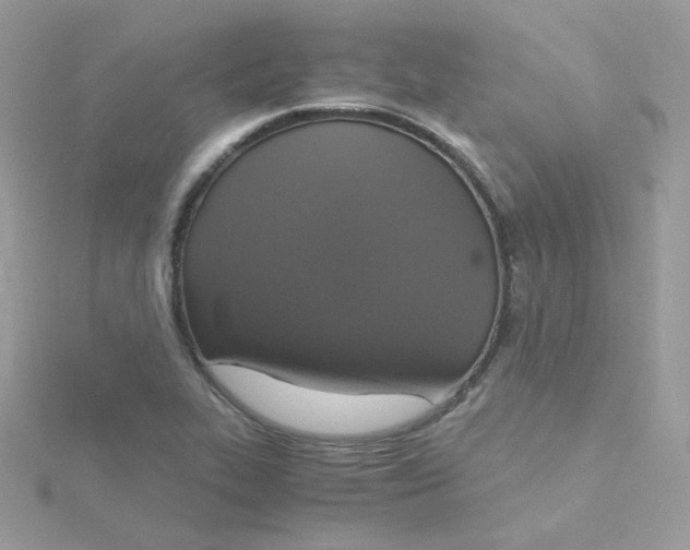 X0000115481319200911271320