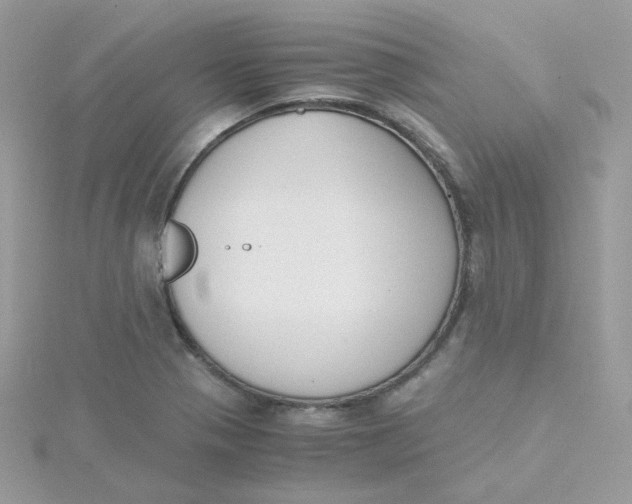 X0000115481321200911271320