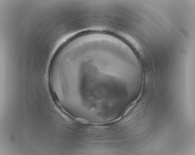 X0000115481327200911271320