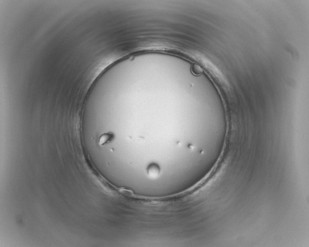 X0000115481329200911271320