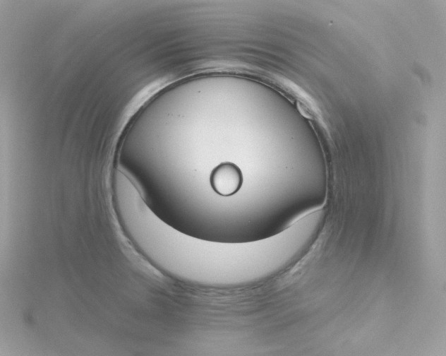 X0000115481330200911271320