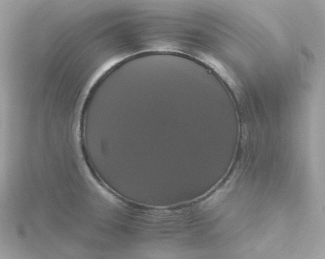 X0000115481331200911271320