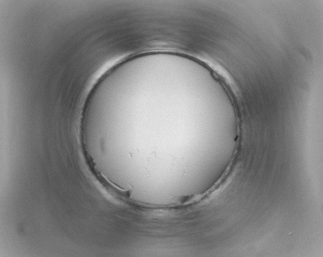 X0000115481333200911271320