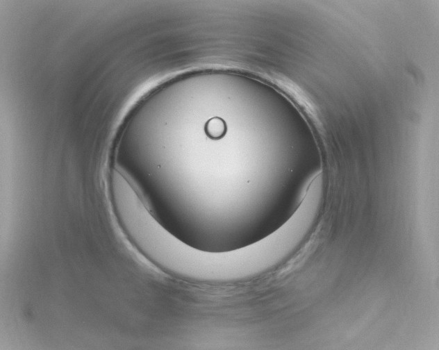 X0000115481334200911271320