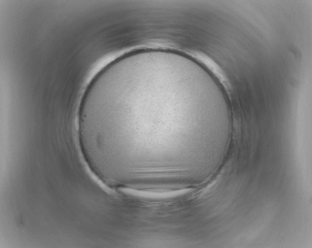 X0000115481335200911271320