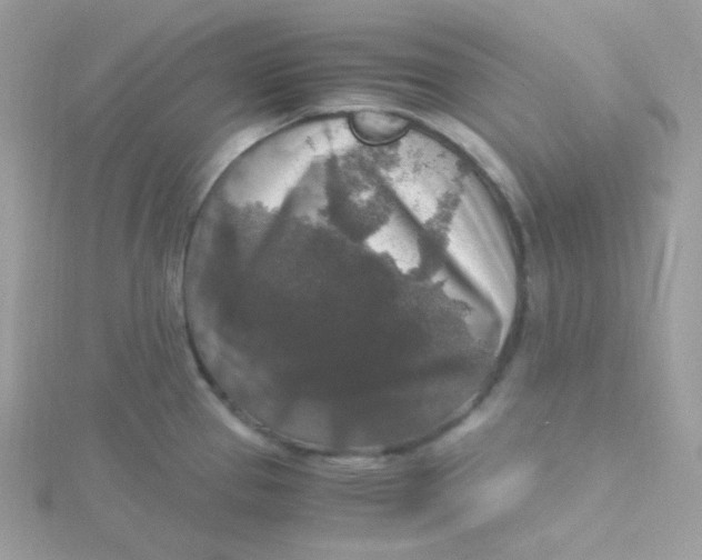 X0000115481337200911271320