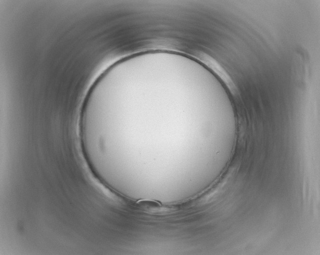 X0000115481339200911271320