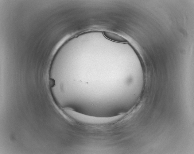 X0000115481341200911271320