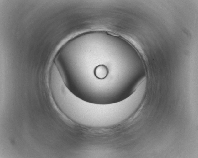 X0000115481342200911271320