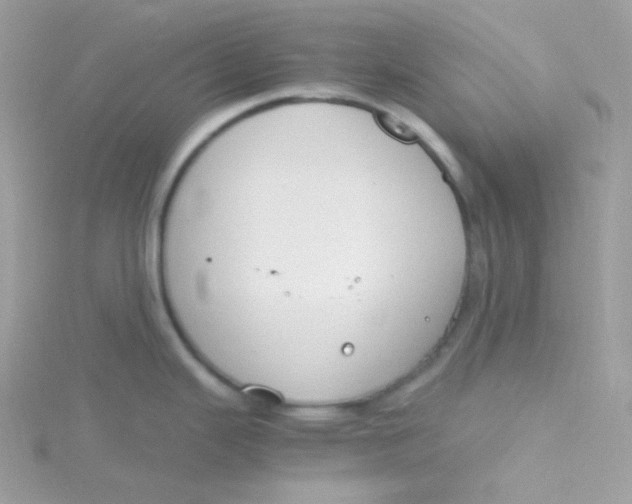 X0000115481343200911271320