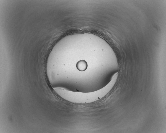 X0000115481345200911271320