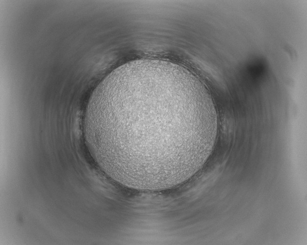 X0000115481346200911271320