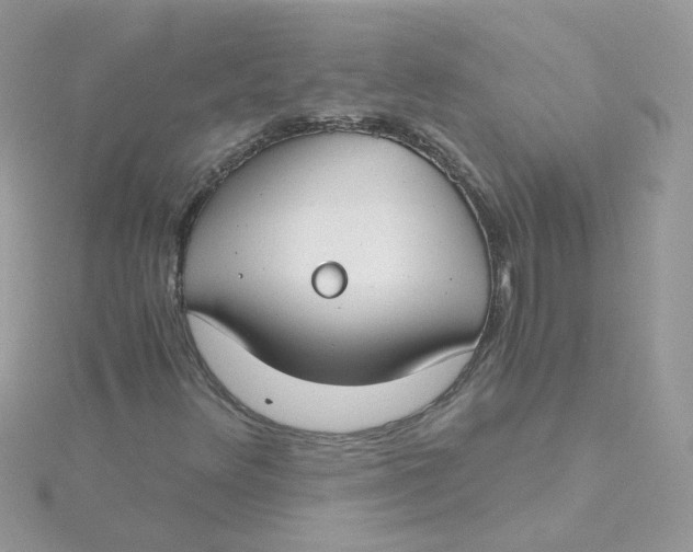 X0000115481348200911271320