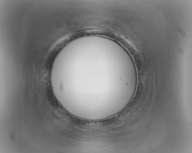 X0000115481351200911271320